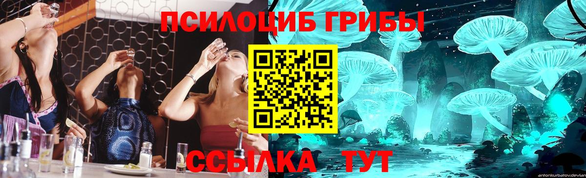 Галлюциногенные грибы Psilocybe  Вход с VPN  Реж 